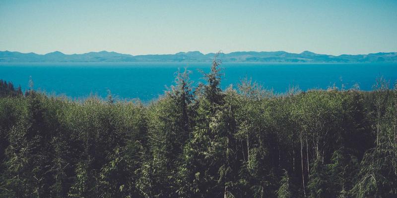 2025电影资讯聚合平台推荐：从影院纯情到热门大片，一网打尽