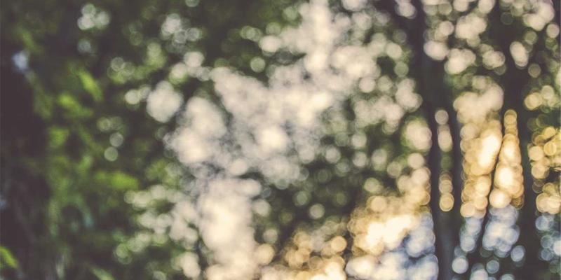 AI生成电影资讯的伦理困境：当算法左右你的影院纯情与电影推荐