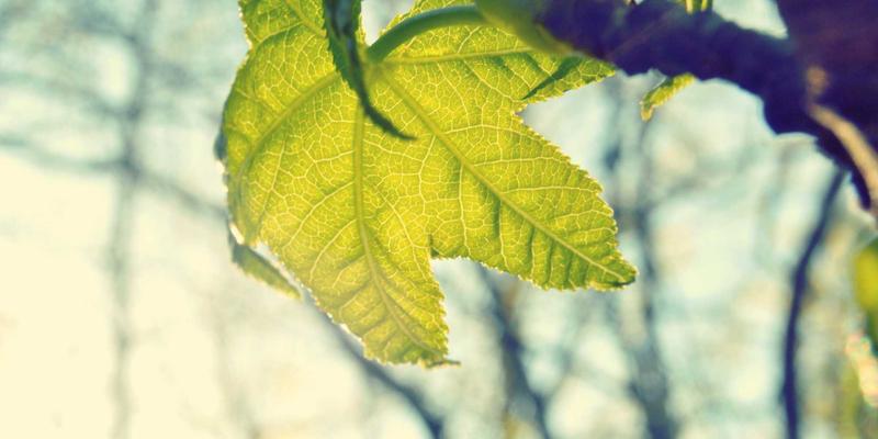 从资讯到品味：电影爱好者的进阶指南，解锁影院纯情与深度推荐