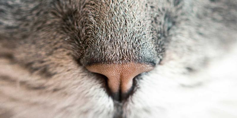 从银幕到现实：科幻电影中的未来城市设计如何塑造我们的世界 | 影评分享与电影资讯