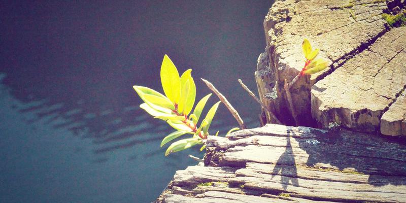 从镜头到灵魂：深度解读电影的视听语言与导演风格 | 影评分享与电影推荐