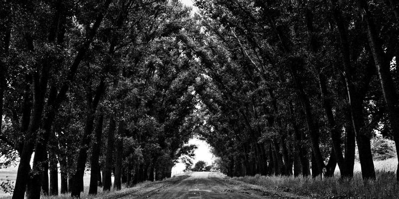 儿童电影中的成人议题：皮克斯动画如何隐晦探讨存在主义焦虑 | 电影推荐与深度影评