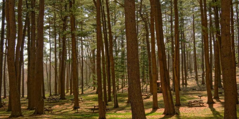 光影指南:如何从海量电影资讯中淘金,发现你的下一部挚爱