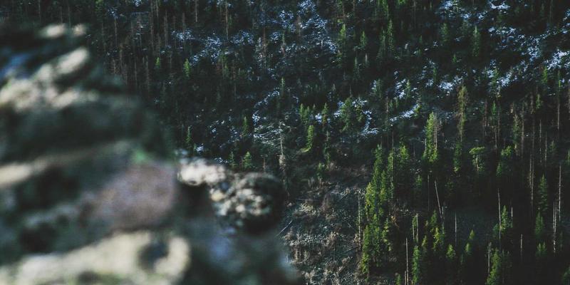 光影指南：如何通过专业影评发现值得一看的好电影