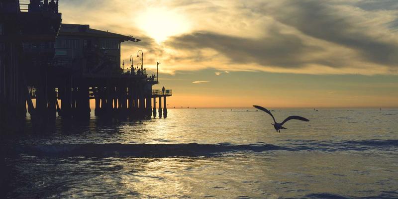 影评分享与电影社区:如何找到属于你的光影同路人