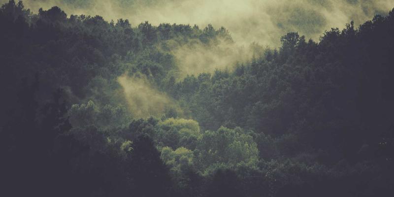 影评、社区与资讯：数字时代电影生态的三大支柱