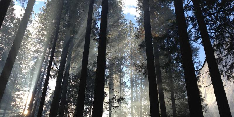 影院纯情与影评分享：电影如何将城市空间升华为文化符号