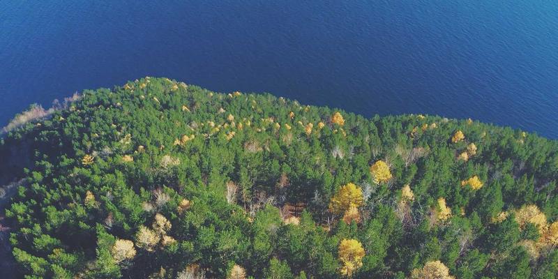 影院纯情与电影社区：如何通过专业技巧获取走心电影推荐