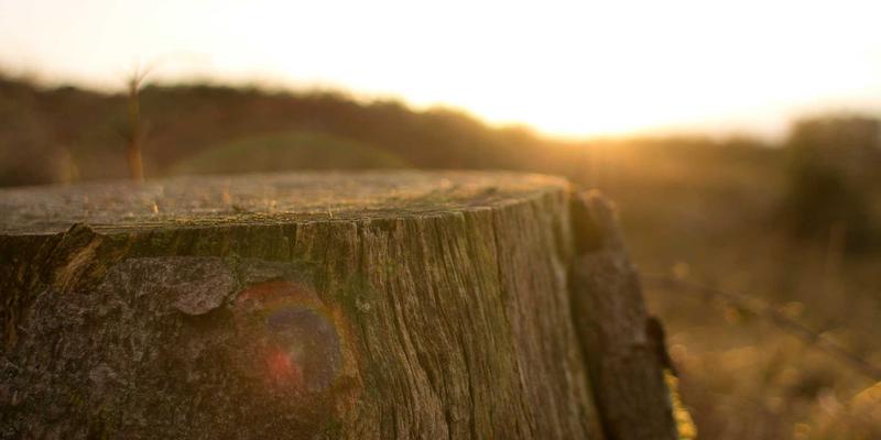 影院纯情 | 从《银翼杀手》到《沙丘》：科幻电影中的未来城市如何塑造我们的建筑想象与电影推荐