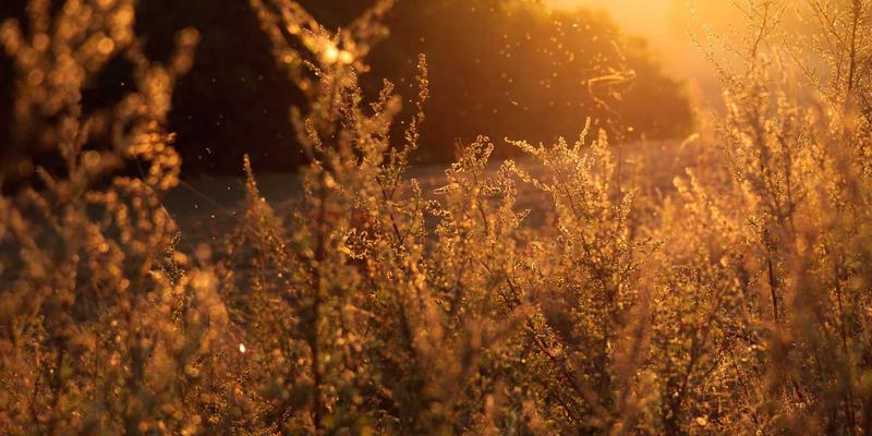 影院纯情：在光影中重拾心动，这份电影推荐与影评带你回归最初的美好