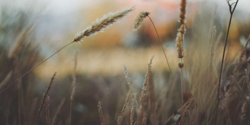 《影院纯情》:在光影交错中,重拾被遗忘的悸动 | 深度影评与资讯分享