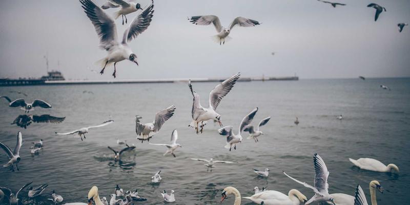 影院纯情：在影评分享中，重拾电影最本真的感动