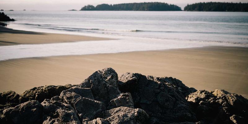 影院纯情：在电影社区中重拾光影里的纯粹感动
