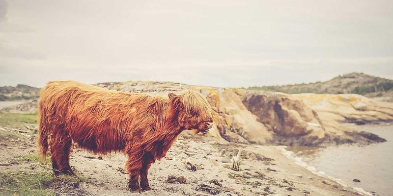 漫威电影宇宙第五阶段全规划解析：新英雄登场与多元宇宙终极悬念