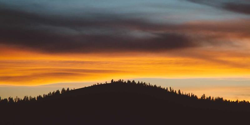 独立制片融资全指南：从电影节创投到小众流媒体平台合作 | 电影资讯与推荐