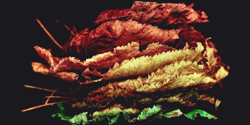 电影档期选择策略：如何避开强敌、借势节假日赢得票房？附专业影评分享