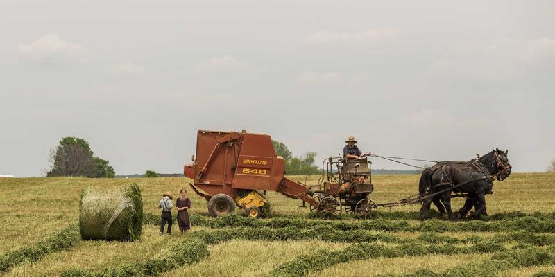 电影评分体系解析：IMDb、豆瓣、烂番茄如何塑造观众选择与电影口碑