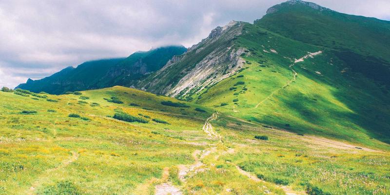 电影资讯41:在光影社区中,寻找那份久违的《影院纯情》与年度必看推荐