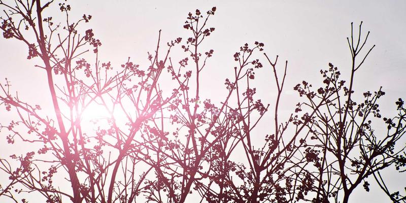 电影资讯97 | 影院纯情风潮回归：这份走心片单唤醒你的情感共鸣