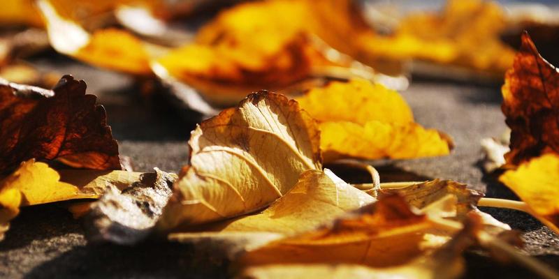 电影资讯怎么用？从获取到分享，打造你的个性化观影指南