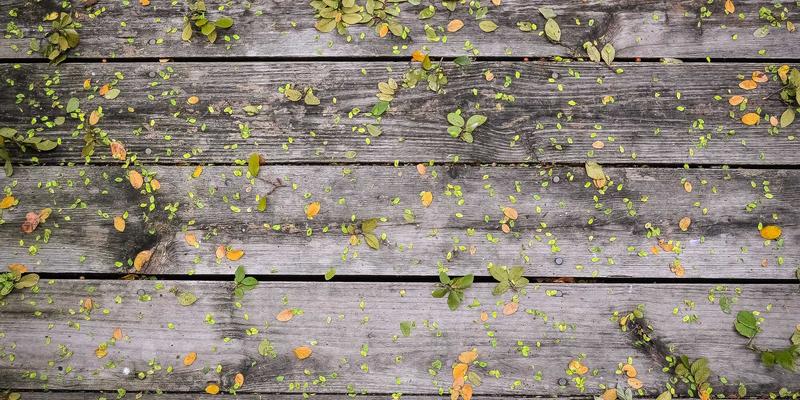 纪录片伦理边界：在电影社区热议的真实性与艺术加工平衡术